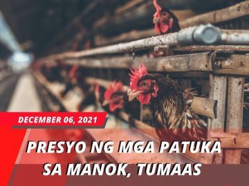 263364935 402305444960580 6977757014725392287 n